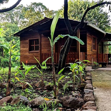 Balgue Wood Cabin - Cabana Maderas מראה חיצוני תמונה